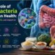 The Role of Gut Bacteria in Human Health- Functions, Benefits, and Impact on Overall Wellness