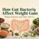 How Gut Bacteria Affect Weight Gain What Science and Diet Tell Us